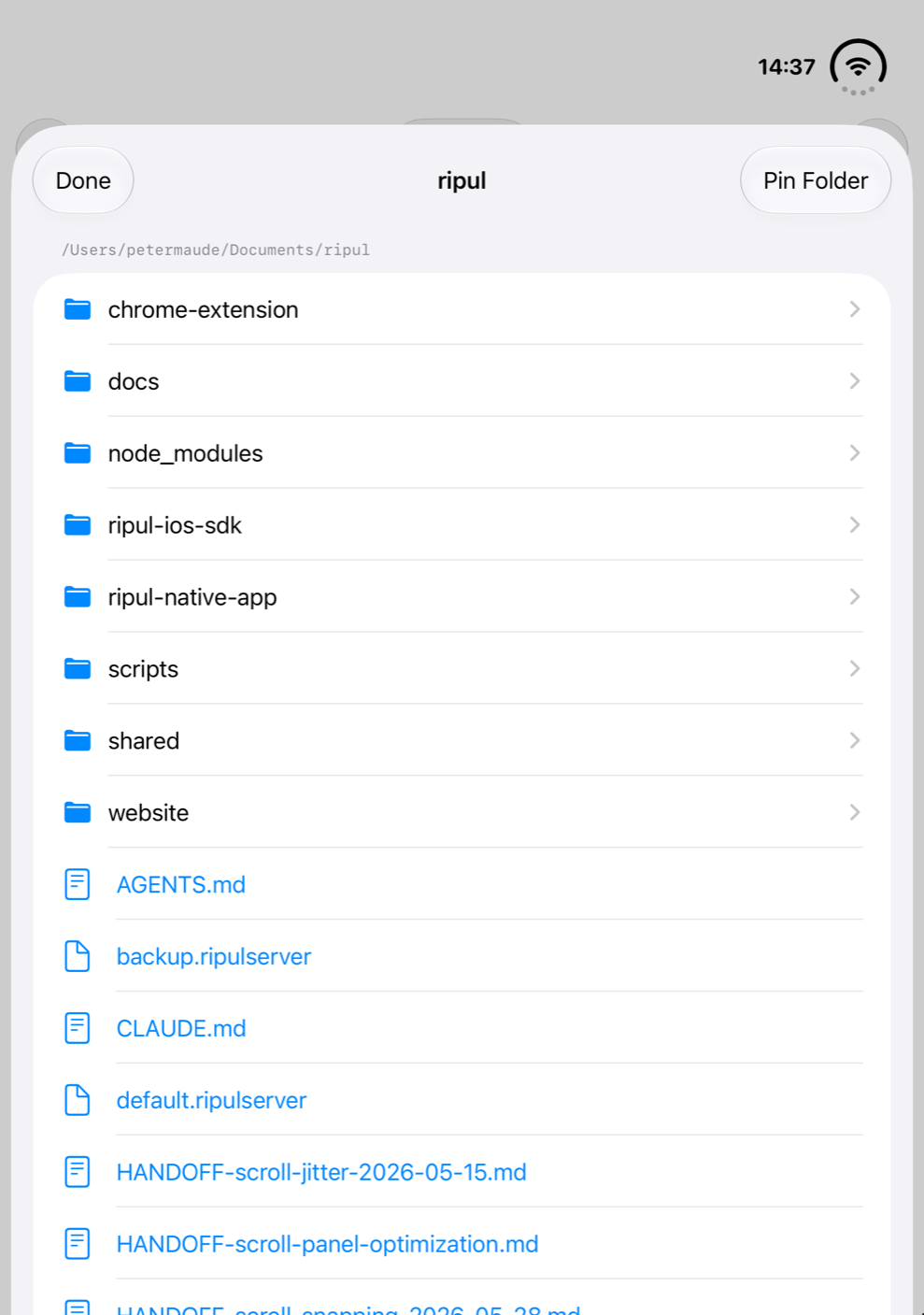 A project folder on a Mac, browsed in Ripul on an iPhone Duo: folders and files in a list.